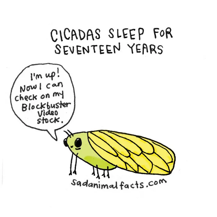 Sad Animal Facts Are The Cutest Way To Ruin Your Day