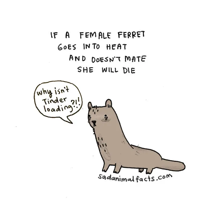 Sad Animal Facts Are The Cutest Way To Ruin Your Day