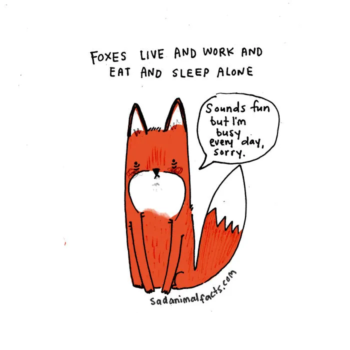Sad Animal Facts Are The Cutest Way To Ruin Your Day