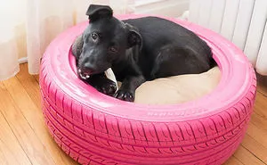 43 Brilliant Ways To Reuse And Recycle Old Tires