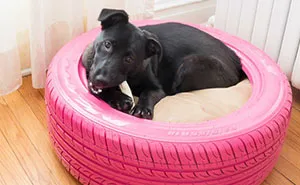 43 Brilliant Ways To Reuse And Recycle Old Tires