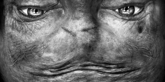 Alienation: Upside-Down Portraits Make People Look Like Aliens