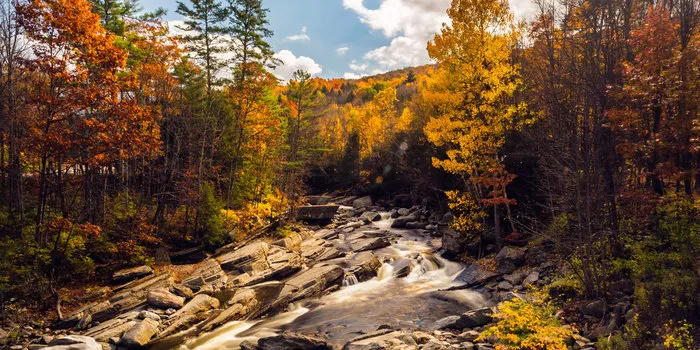 Vermont Blues