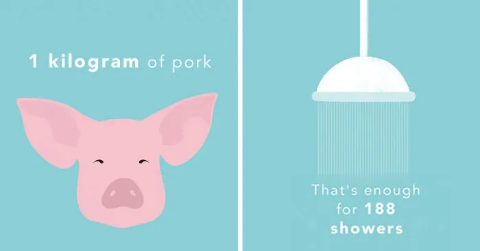 How Much Water Do You Eat?