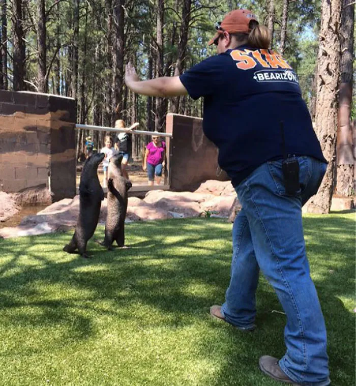 Hilarious Zookeepers Recreate Jurassic World Scene With Animals