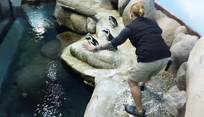 Hilarious Zookeepers Recreate Jurassic World Scene With Animals