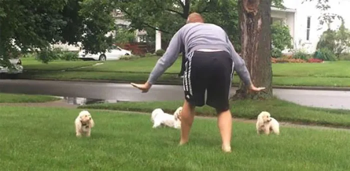 Hilarious Zookeepers Recreate Jurassic World Scene With Animals