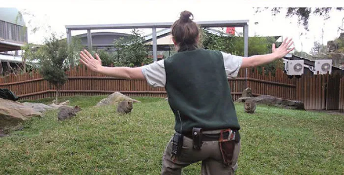 Hilarious Zookeepers Recreate Jurassic World Scene With Animals