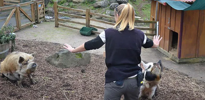 Hilarious Zookeepers Recreate Jurassic World Scene With Animals