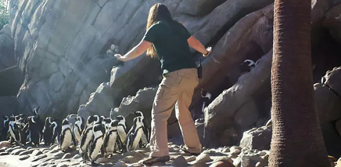 Hilarious Zookeepers Recreate Jurassic World Scene With Animals