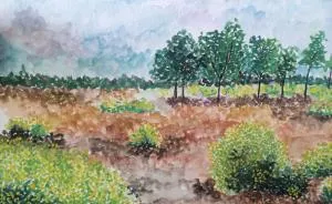 Acuarela Project: My Paintings Of Random Things
