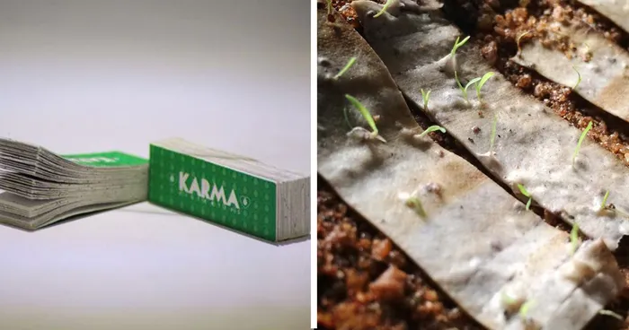 Biodegradable Cigarette Filters Embedded With Seeds Grow Into Trees When Thrown Away