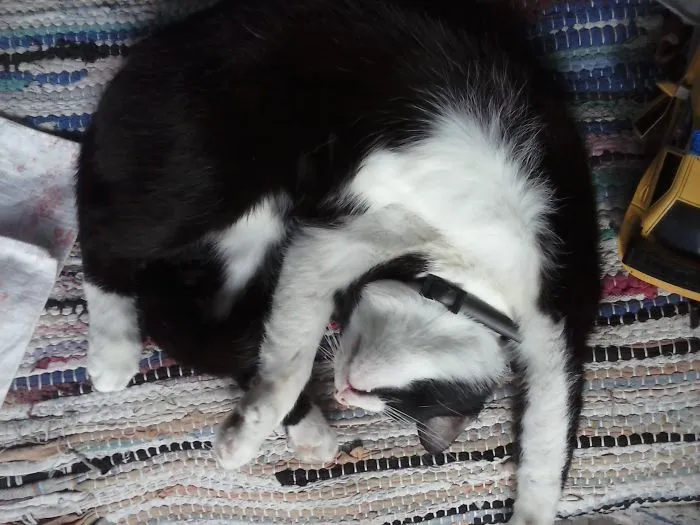 Wygięty