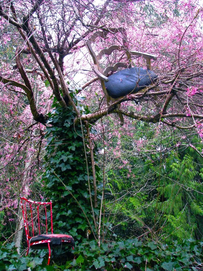 My 'chairy' Tree ...www.mardi.ca