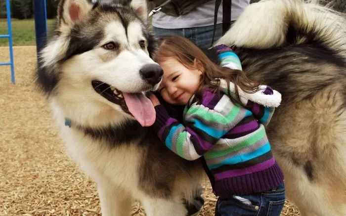 Children's Wonderful Best Friend