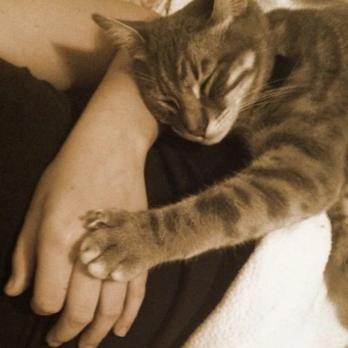 Cuteness Overload