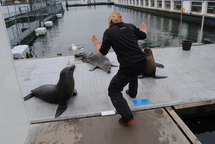 Hilarious Zookeepers Recreate Jurassic World Scene With Animals