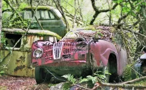 Hundreds Of Classic Abandoned Cars Hidden In Swedish Forest