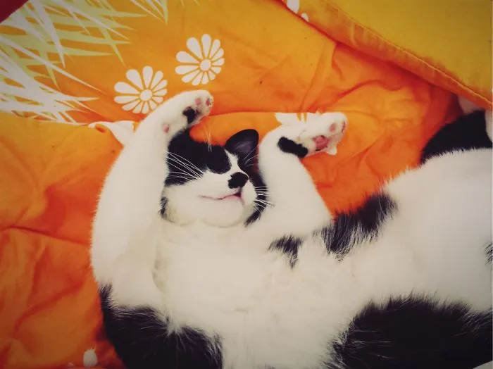 Rub, Rub, Rub... And She Goes Like This.