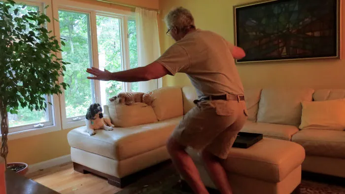 Hilarious Zookeepers Recreate Jurassic World Scene With Animals