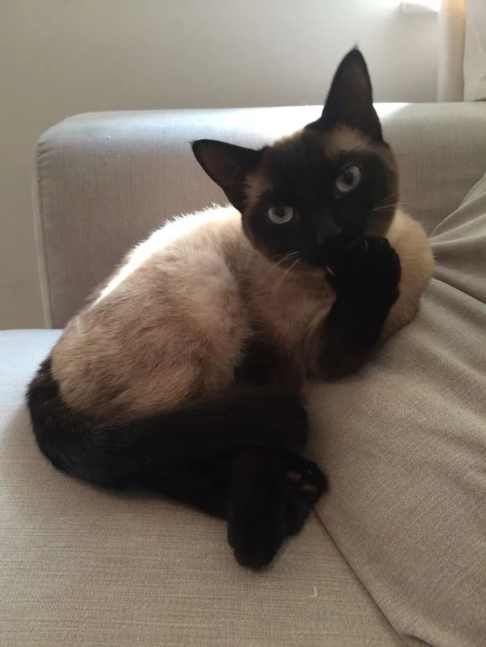 Strike A Pose