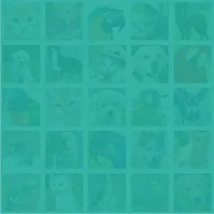 Petfriends.social