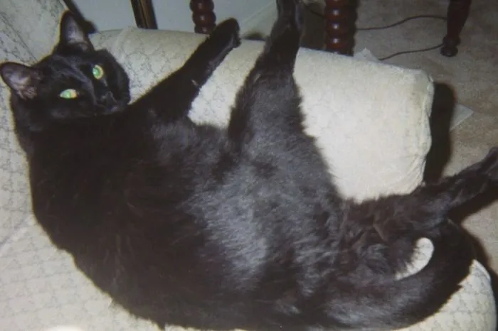 Hey Hot Stuff!
