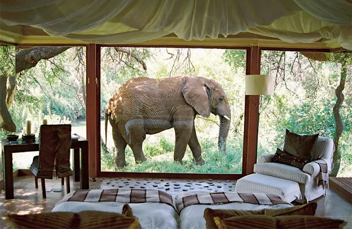 South Africa