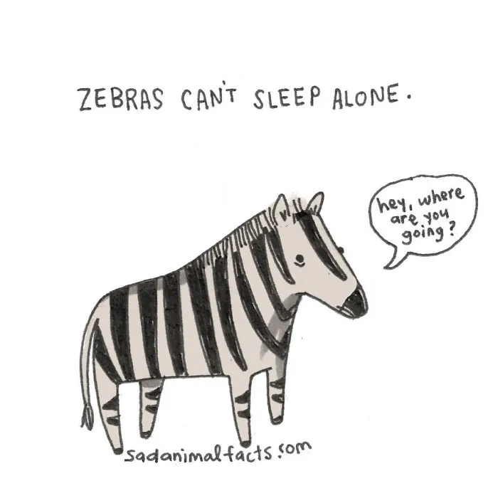 Sad Animal Facts Are The Cutest Way To Ruin Your Day