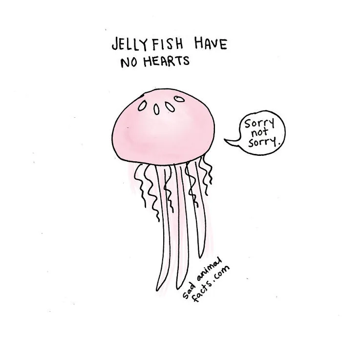 Sad Animal Facts Are The Cutest Way To Ruin Your Day
