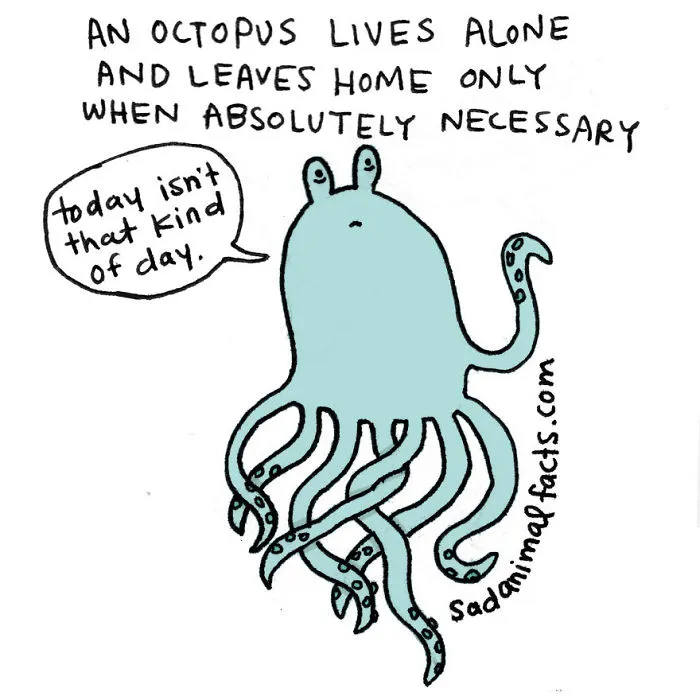 Sad Animal Facts Are The Cutest Way To Ruin Your Day
