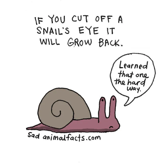 Sad Animal Facts Are The Cutest Way To Ruin Your Day