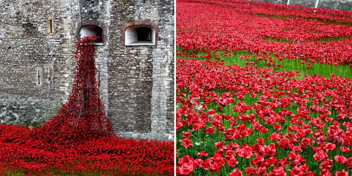 Tower Of London Poppies: Around 1 Million Flowers To Commemorate The Fallen Soldiers Of WWI