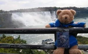 Travelling Teddy Bear Reunited With Owner After 7 Years