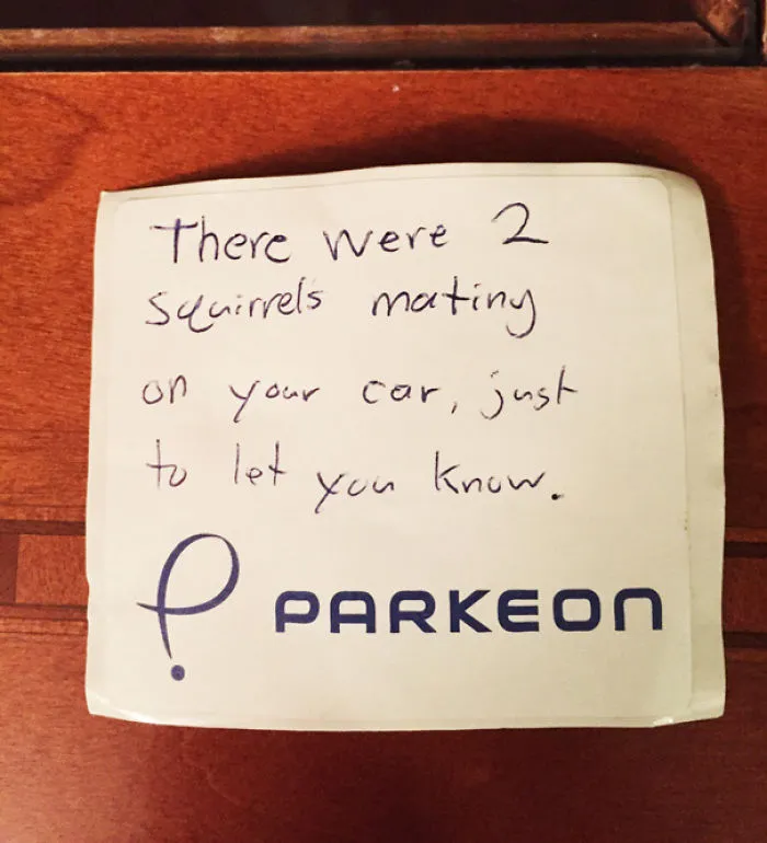 Tonight I Found This Note On My Windshield