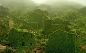 Abandoned Chinese Fishing Village Being Swallowed By Nature