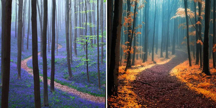 28 Magical Paths Begging To Be Walked