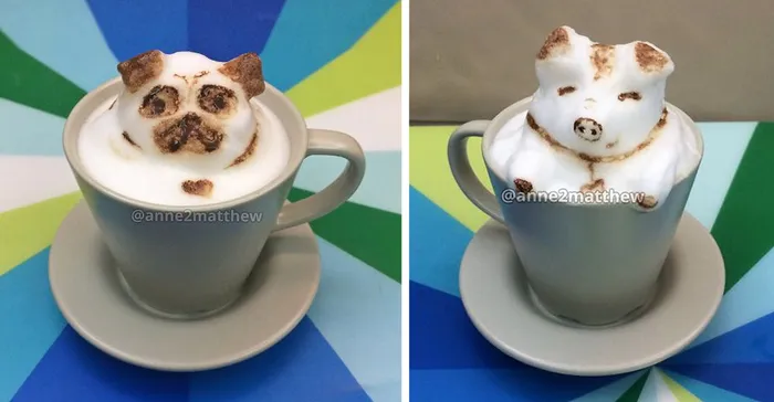 My Homemade 3D Latte Art
