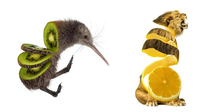 Animal Food: My Series Of Animals Crossed With Fruits And Vegetables