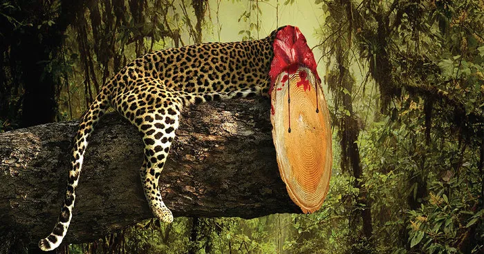 Shocking Effects Of Deforestation Exposed In Brutal Print Ads
