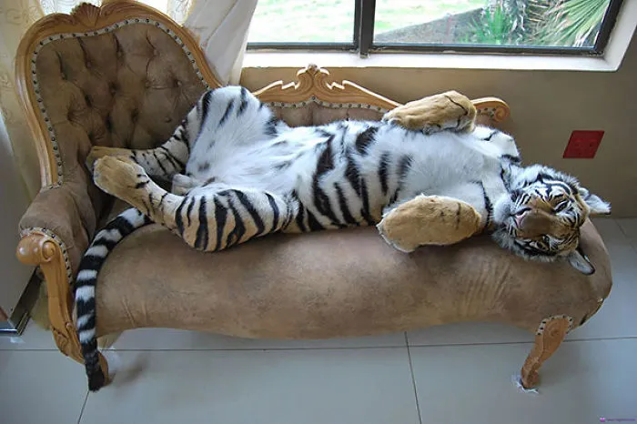 Draw Me Like One Of Your French Girls