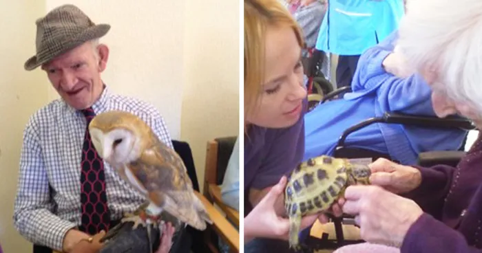 We Bring Giant Snails, Lizards, And Owls To Retirement Homes To Brighten Seniors' Lives
