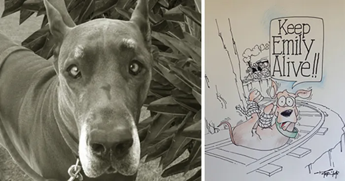 Amazing Artists For Emily!