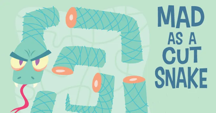10 Bizarre Aussie Sayings Explained With Illustrations