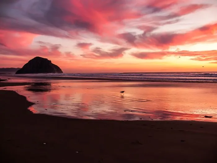 Sunrise