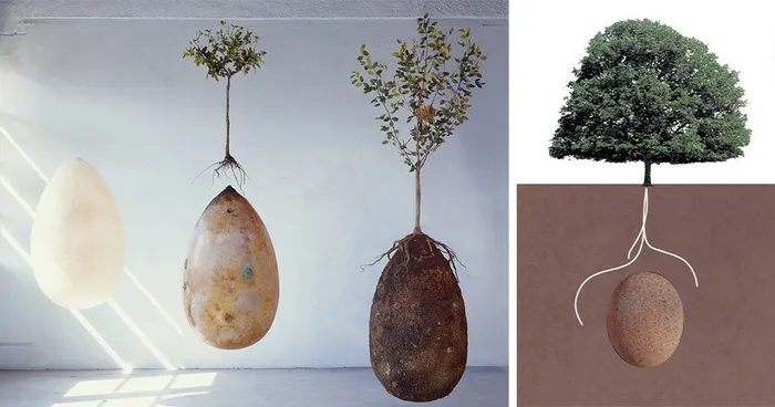 Forget Coffins - Organic Burial Pods Will Turn Your Loved Ones Into Trees