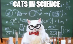 Cats In Science