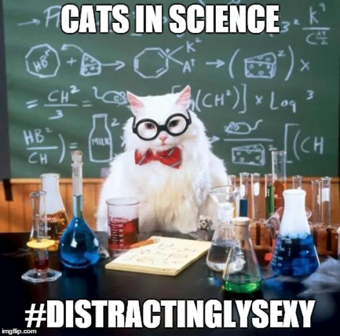 Cats In Science