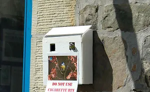 59 Unusual Bird Nests Built In The  Weirdest Places
