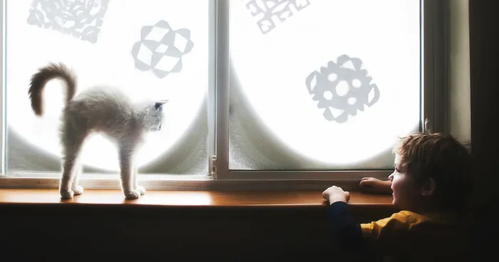 A Boy And His Cats: I Document The Bond Between My Boys And Their Cats